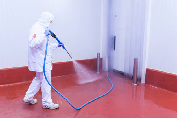 Best Concrete Sealing  in Daingerfield, TX