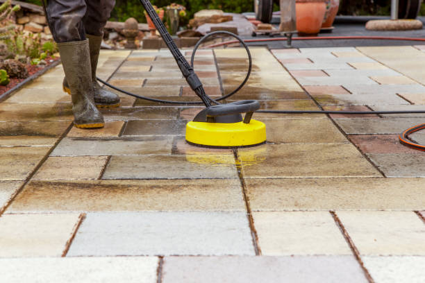 Best Warehouse Cleaning  in Daingerfield, TX